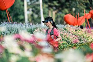 BIB: 
                            <button type="button" onclick="openModal(25933650)" class="btn btn-primary btn-sm float-right btn-popup" data-toggle="modal" data-target=".modal-high-quality">
                        <i class="fas fa-shopping-cart"></i> Add to Cart
                    </button>
                                            <button type="button" onclick="isThisMe(25933650, true)" class="btn btn-success btn-sm float-right btn-popup btn-isme hidden" data-toggle="tooltip" data-placement="bottom" title="นี่คือรูปของคุณใช่ไหม คลิกที่นี่เพื่อเอาเข้าอัลบั้ม">
                        <i class="fas fa-plus"></i> Add to album
                    </button>
                    <button type="button" onclick="isThisMe(25933650, false)" class="btn btn-warning btn-sm float-right btn-popup btn-isnotme hidden">
                        <i class="fas fa-ban"></i> Remove from album
                    </button>